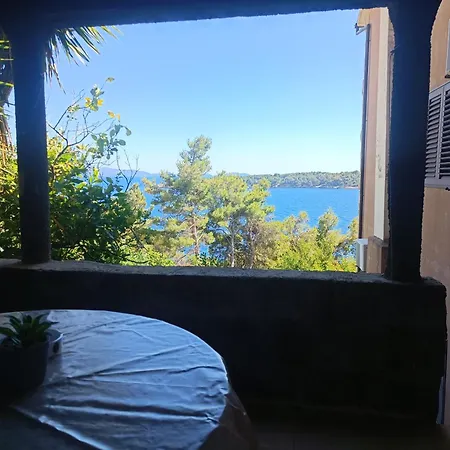 Bosnic Apartment